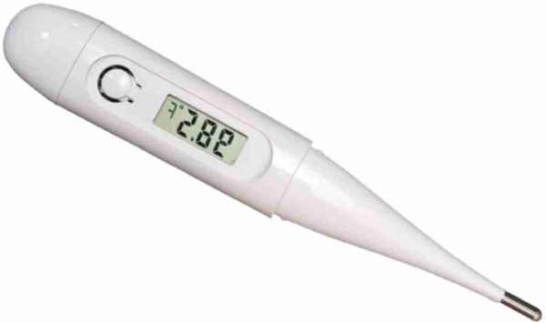 Digital Thermometer, 1 Count