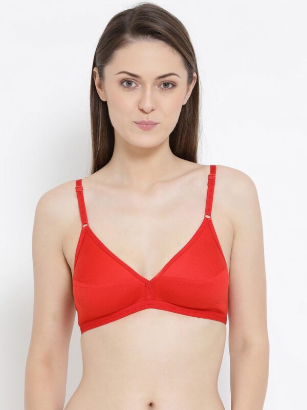 SOFTLINE ELECTRA REGULAR FANCY BRA ASSORETD COLOUR PACK OF 1