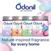 Odonil Bathroom Air Freshner Blocks - 288g (72g*4) | Mixed Fragrances: Jasmine, Lavender, Orchid, Rose| Long Lasting Fragrance | Lasts upto 45 days - Image 3